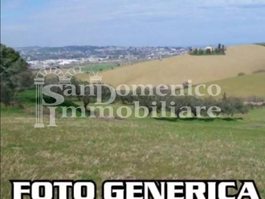 Immagine 1 di Terreno agricolo in vendita  a Pisa