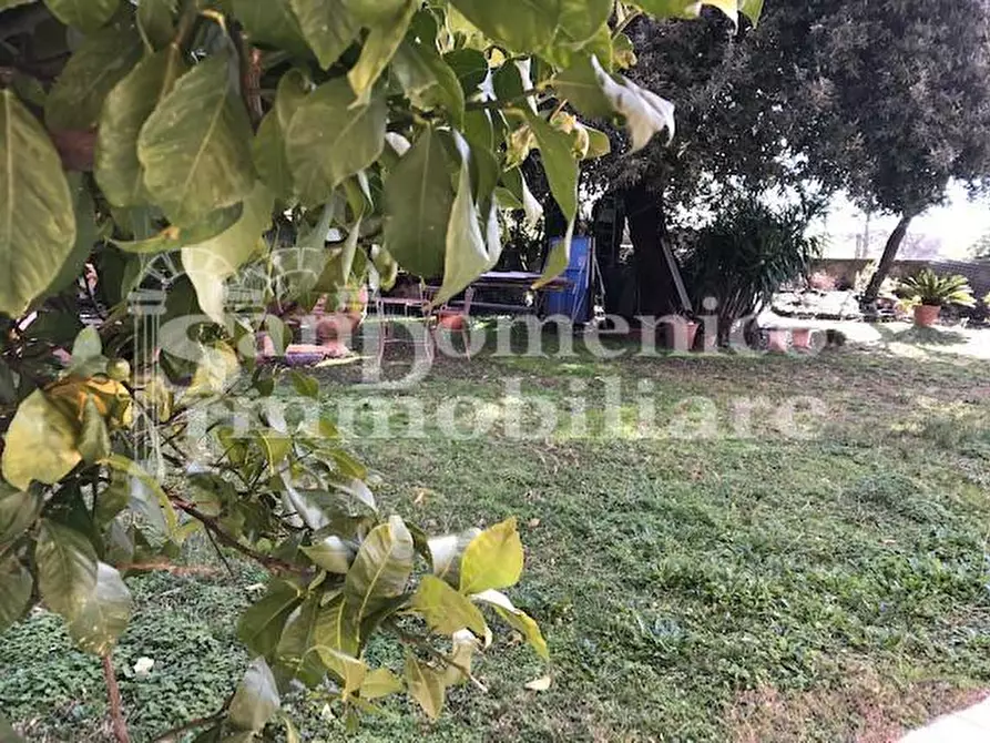 Immagine 15 di Villa in vendita  a Cascina