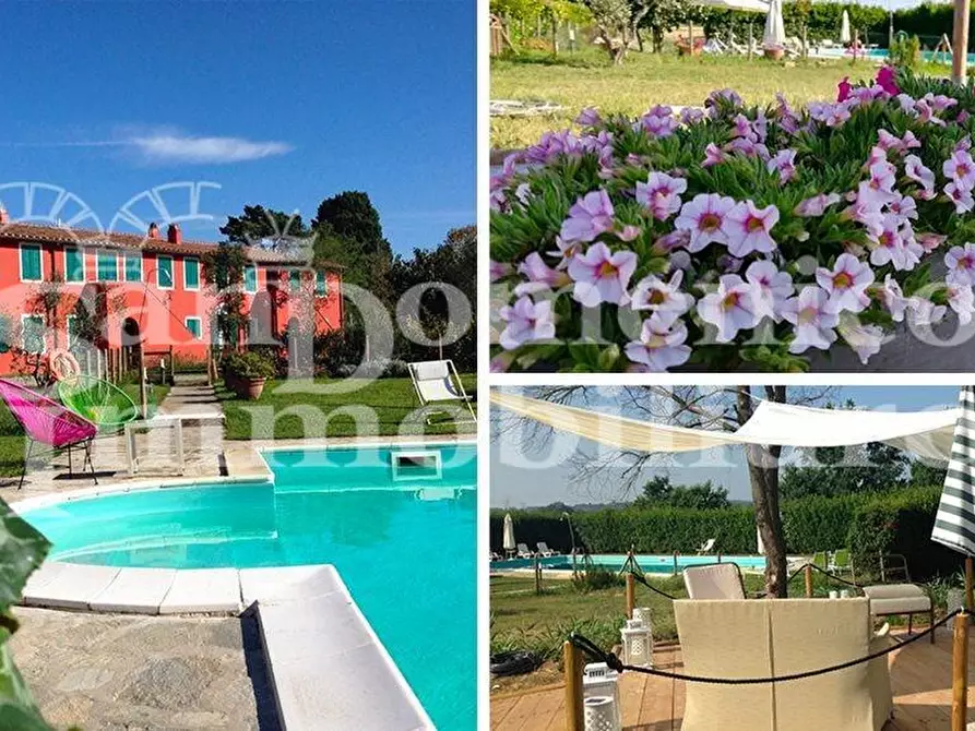 Immagine 1 di Attività commerciale in vendita  a Fauglia