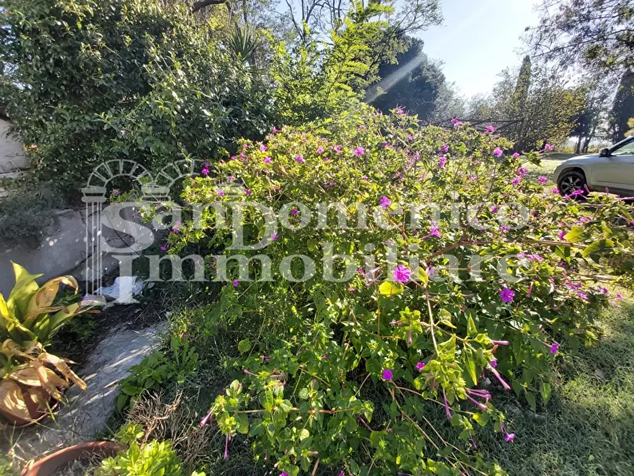 Immagine 2 di Casa indipendente in vendita  a Pisa