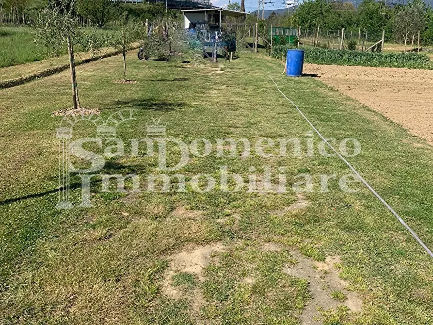 Immagine 1 di Terreno agricolo in vendita  a Pisa