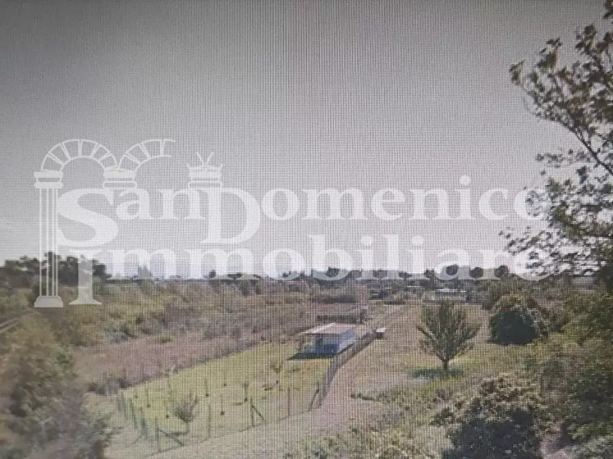 Immagine 2 di Terreno agricolo in vendita  a Pisa