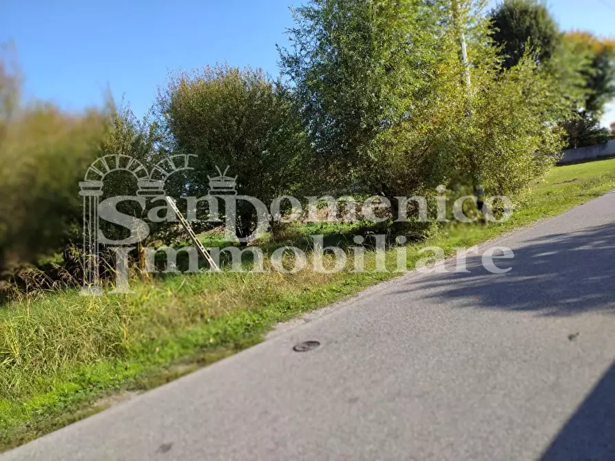 Immagine 5 di Terreno agricolo in vendita  a Lucca