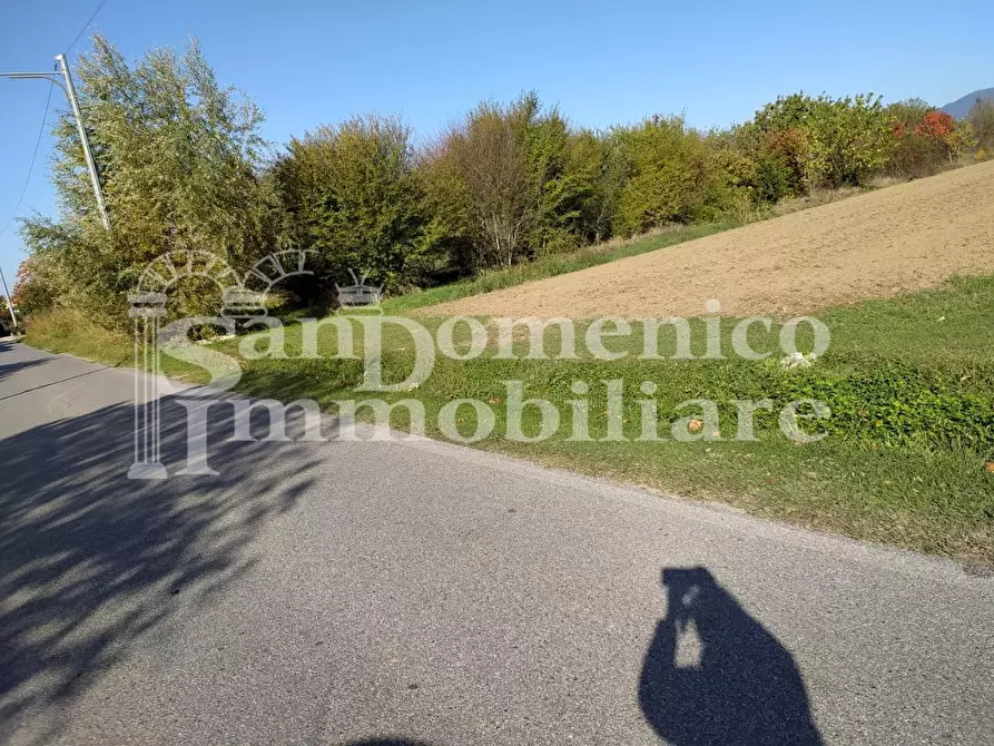 Immagine 6 di Terreno agricolo in vendita  a Lucca