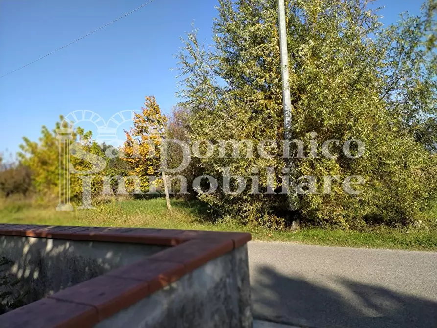 Immagine 2 di Terreno agricolo in vendita  a Lucca