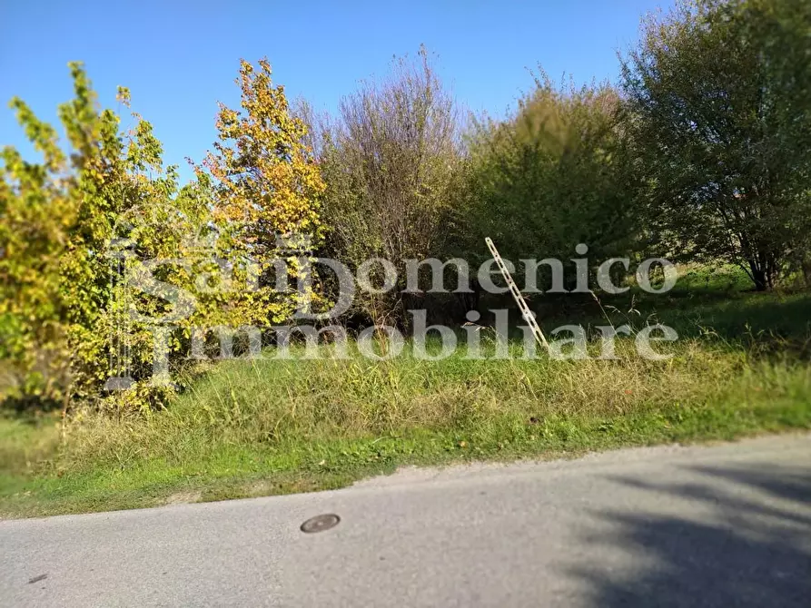 Immagine 4 di Terreno agricolo in vendita  a Lucca