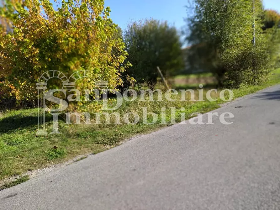 Immagine 3 di Terreno agricolo in vendita  a Lucca