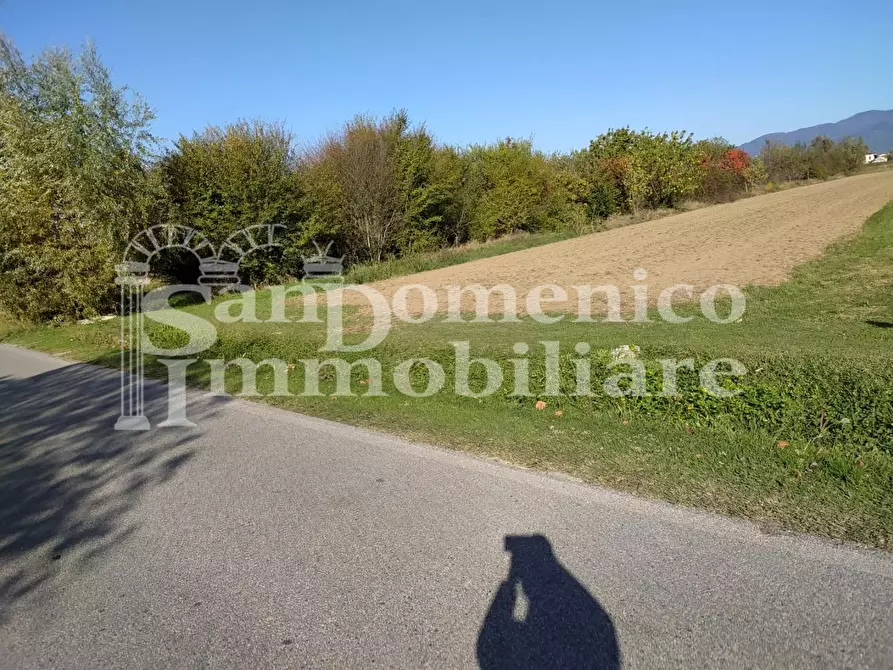 Immagine 7 di Terreno agricolo in vendita  a Lucca