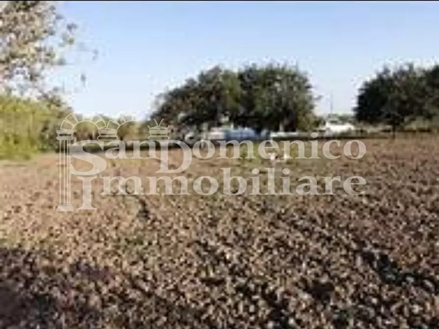 Immagine 1 di Terreno agricolo in vendita  a Pisa