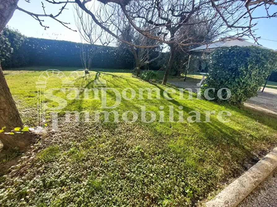 Immagine 25 di Casa indipendente in vendita  a Pisa