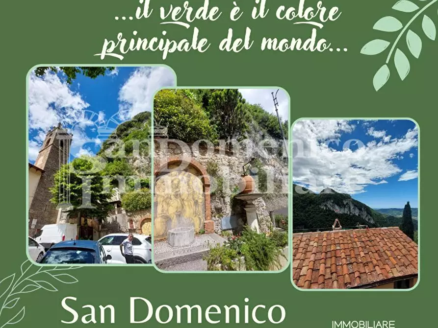 Immagine 35 di Terratetto in vendita  a Camaiore