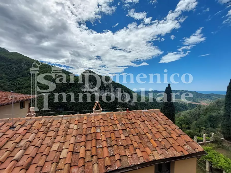 Immagine 34 di Terratetto in vendita  a Camaiore