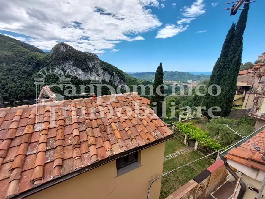 Immagine 33 di Terratetto in vendita  a Camaiore