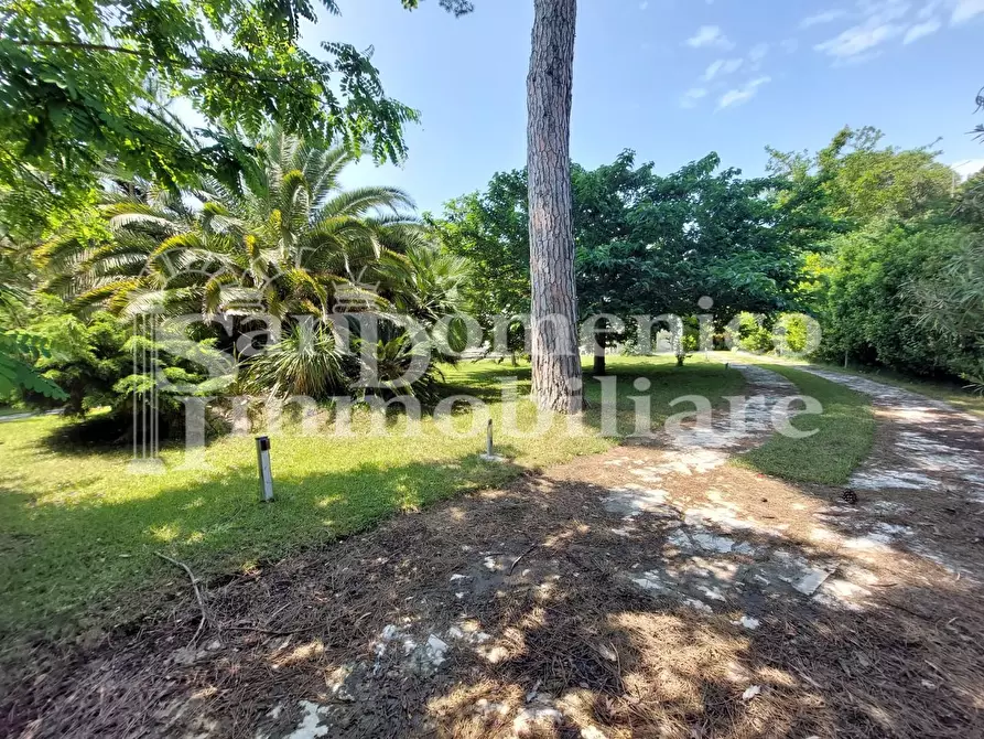 Immagine 9 di Villa in vendita  a Pisa