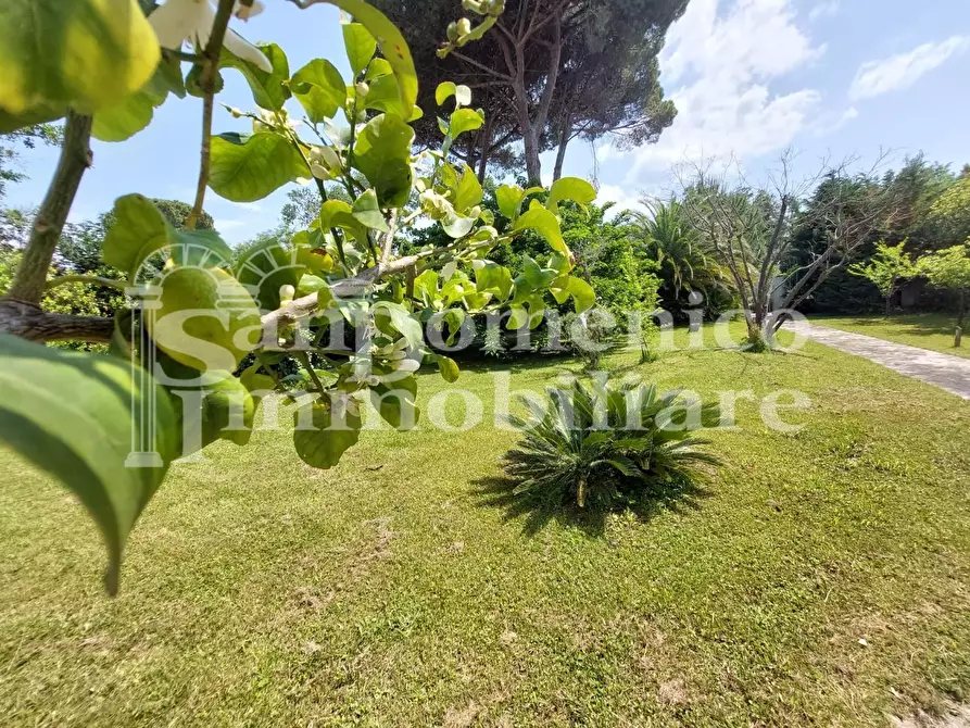 Immagine 10 di Villa in vendita  a Pisa