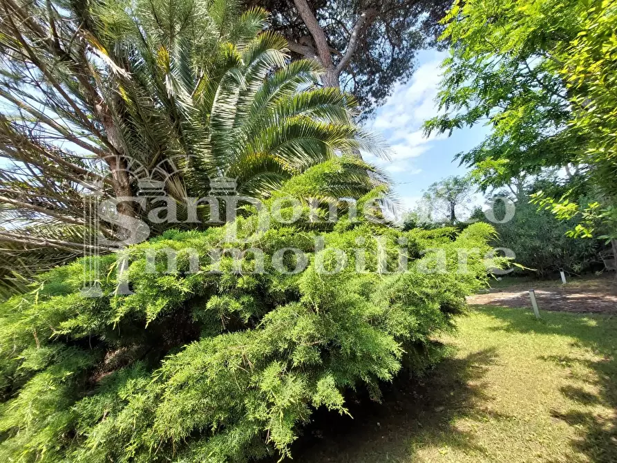 Immagine 8 di Villa in vendita  a Pisa