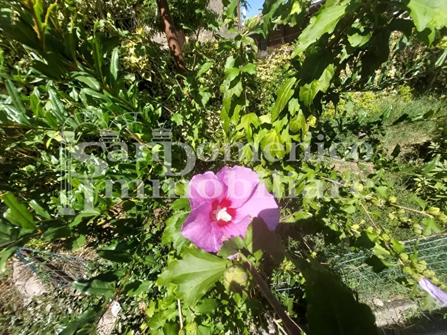 Immagine 28 di Terratetto in vendita  a Cascina