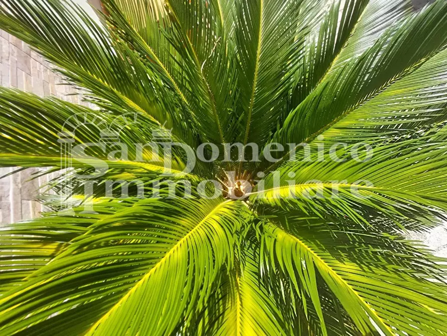 Immagine 24 di Terratetto in vendita  a Cascina