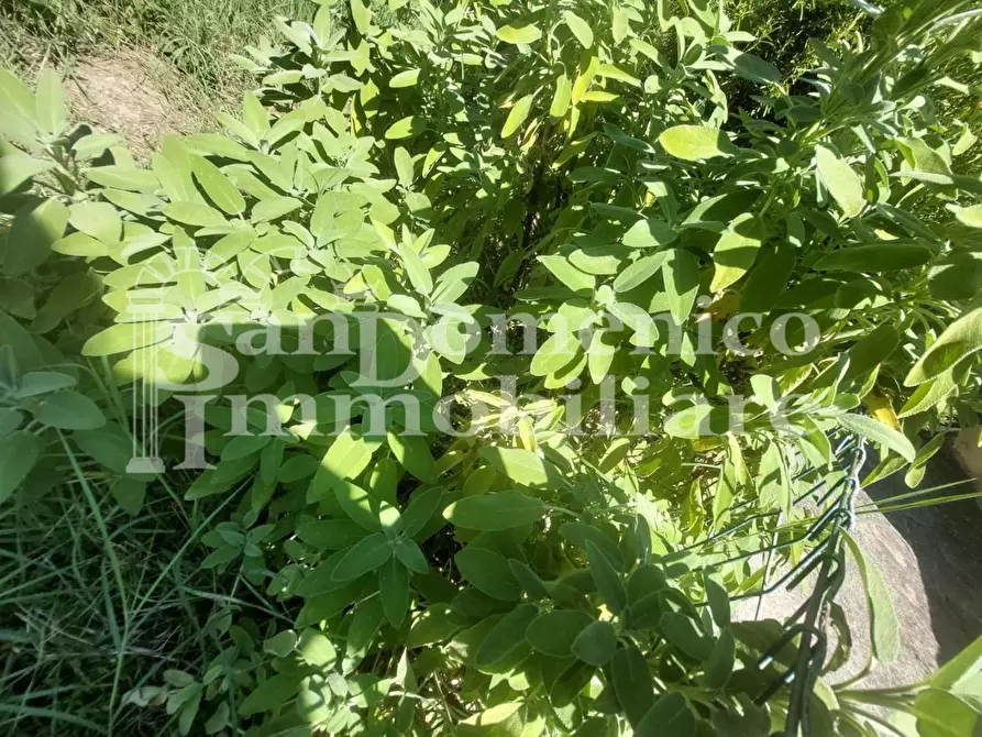 Immagine 27 di Terratetto in vendita  a Cascina