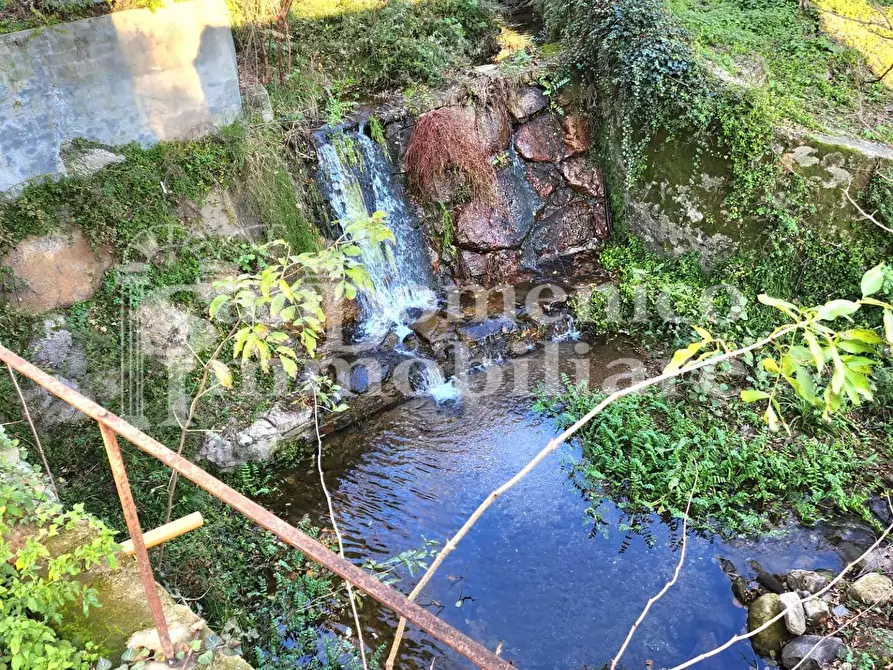 Immagine 10 di Villa in vendita  a Calci