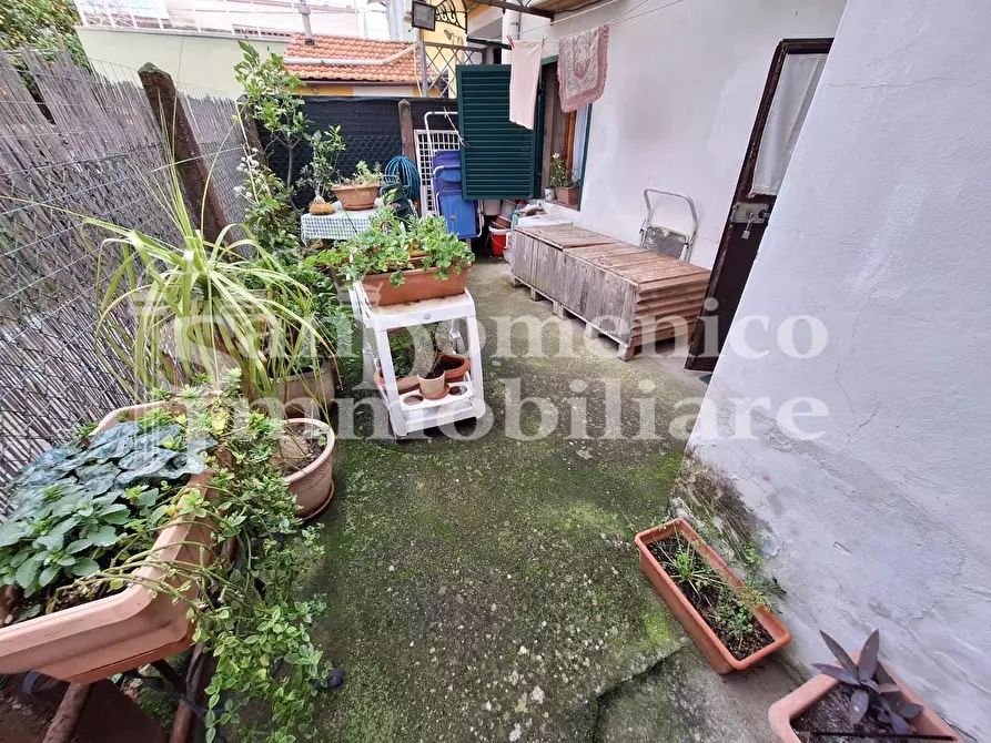 Immagine 26 di Terratetto in vendita  a Vecchiano