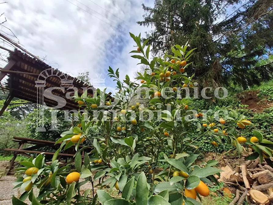 Immagine 22 di Casa colonica in vendita  a San Giuliano Terme