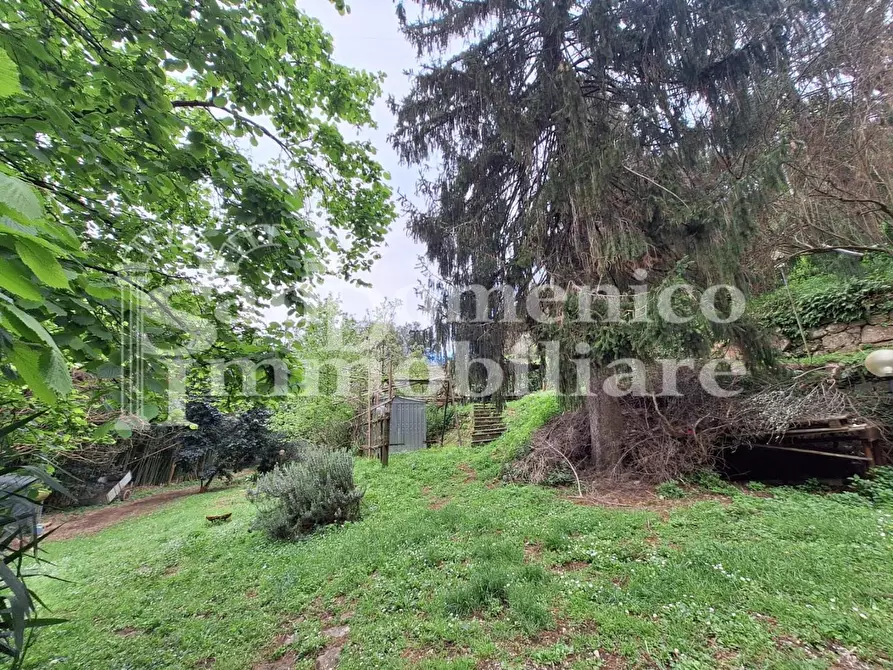 Immagine 20 di Casa colonica in vendita  a San Giuliano Terme