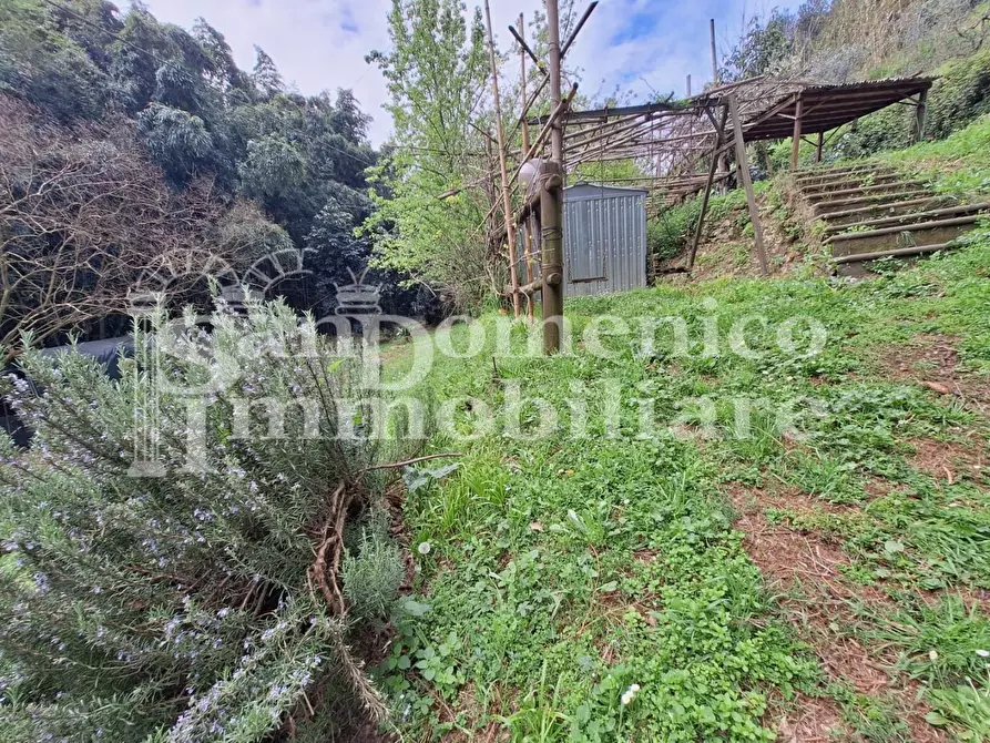 Immagine 21 di Casa colonica in vendita  a San Giuliano Terme