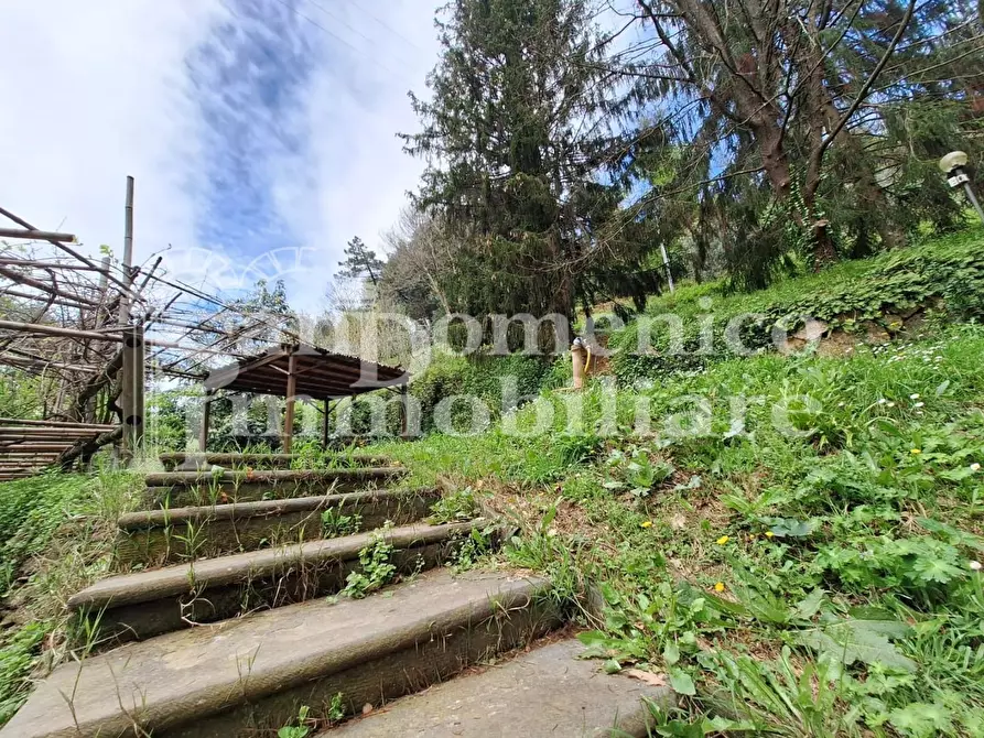 Immagine 23 di Casa colonica in vendita  a San Giuliano Terme