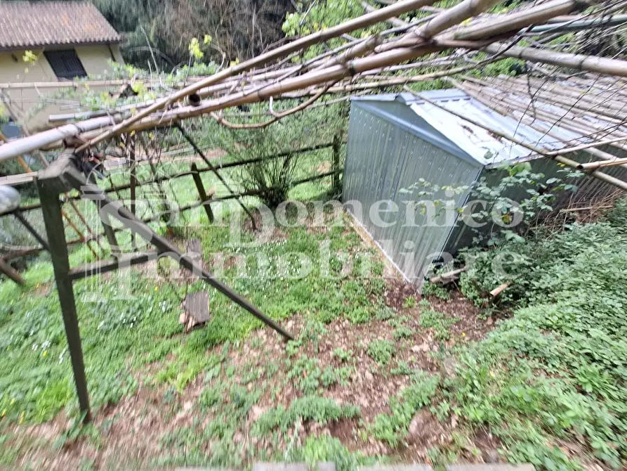 Immagine 25 di Casa colonica in vendita  a San Giuliano Terme