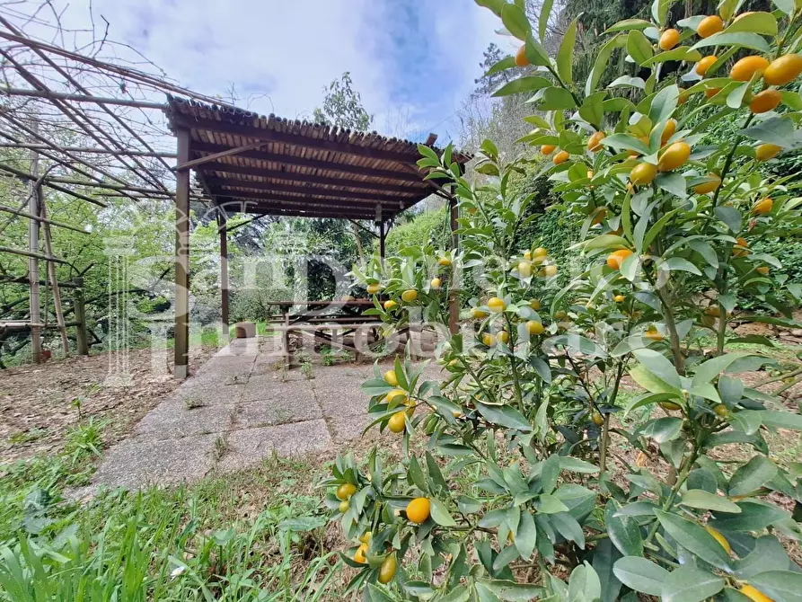 Immagine 24 di Casa colonica in vendita  a San Giuliano Terme