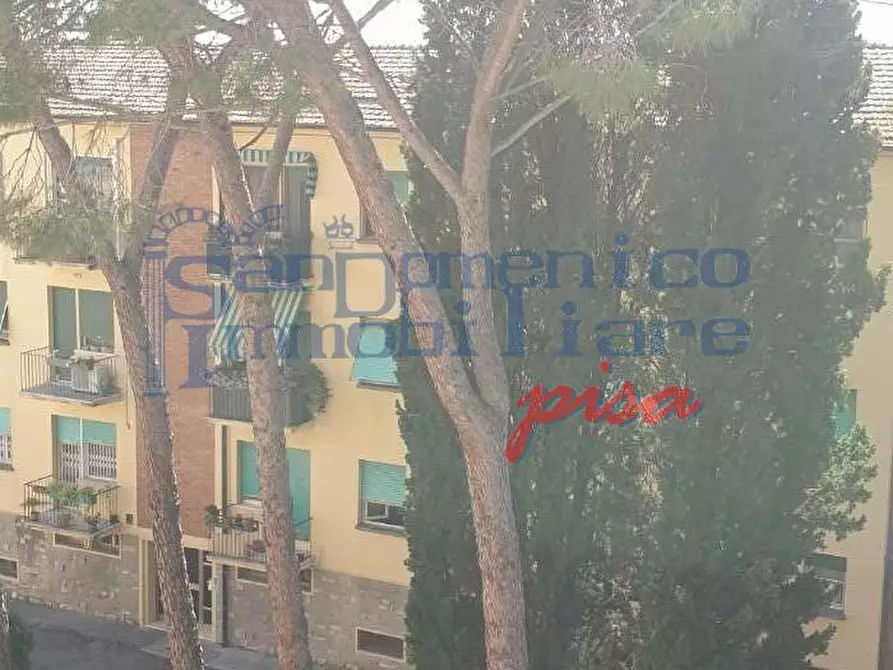 Immagine 3 di Appartamento in vendita  a Pisa
