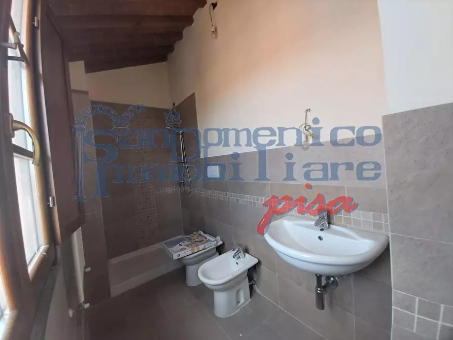 Immagine 5 di Appartamento in vendita  a San Giuliano Terme