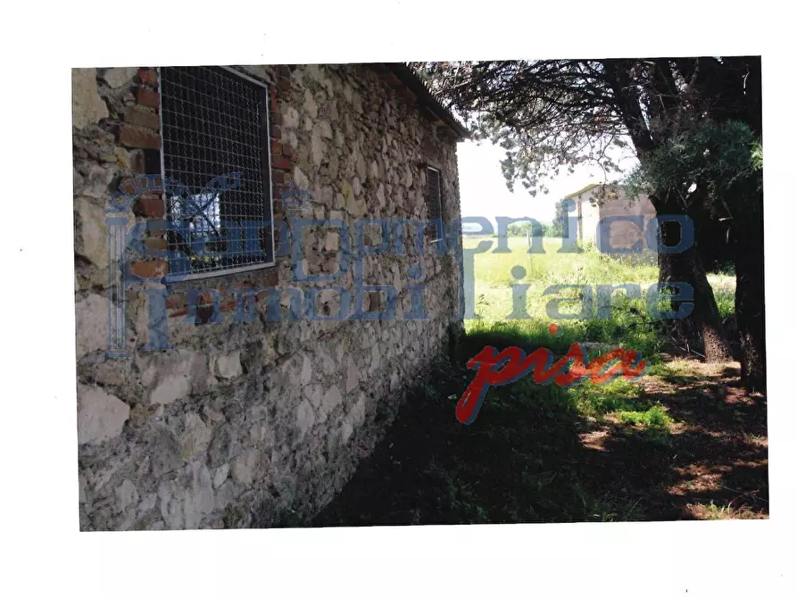 Immagine 4 di Casa colonica in vendita  a Rosignano Marittimo