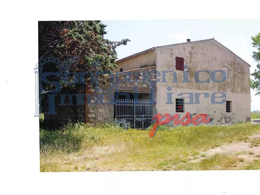Immagine 5 di Casa colonica in vendita  a Rosignano Marittimo