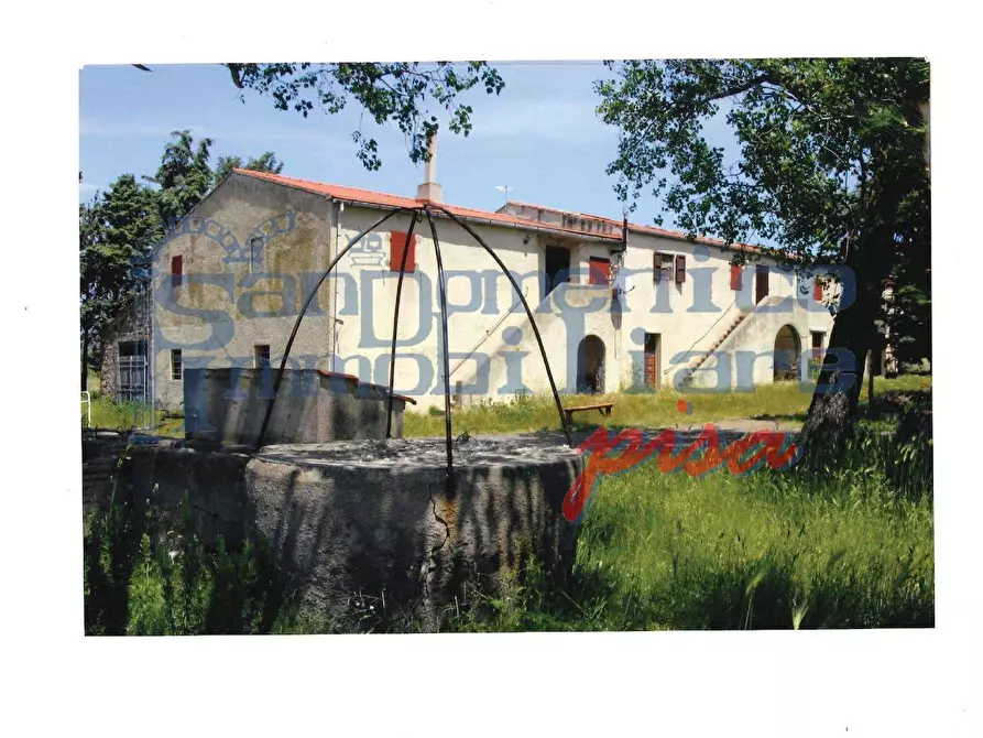 Immagine 2 di Casa colonica in vendita  a Rosignano Marittimo