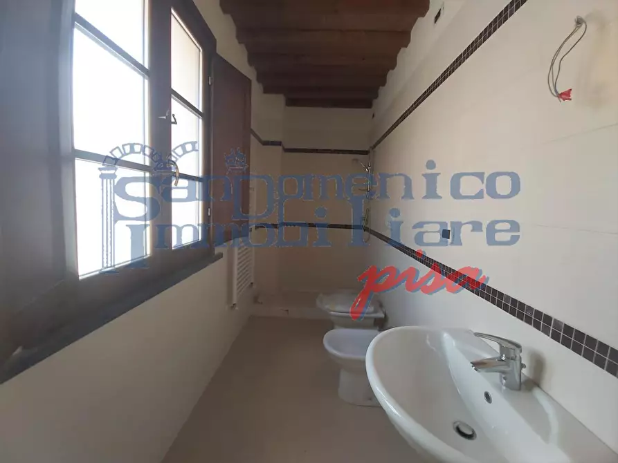 Immagine 5 di Appartamento in vendita  a San Giuliano Terme