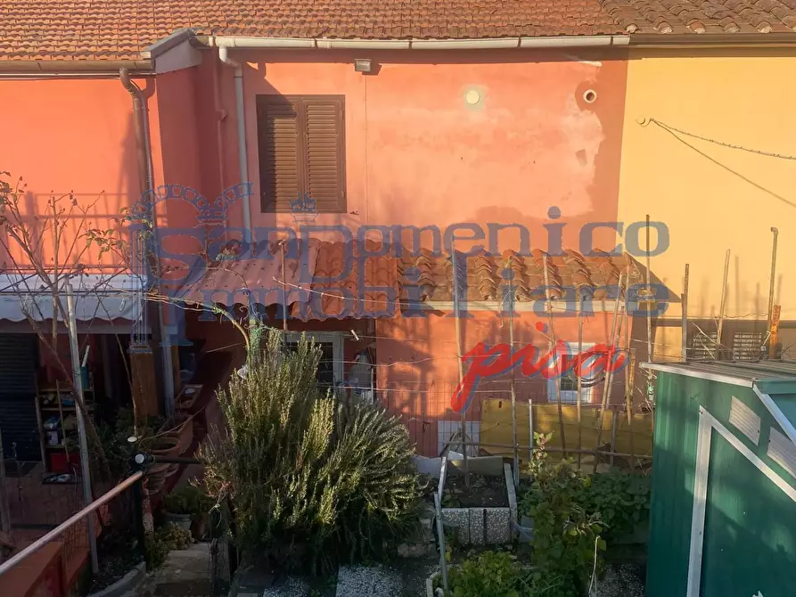 Immagine 3 di Terratetto in vendita  a San Giuliano Terme