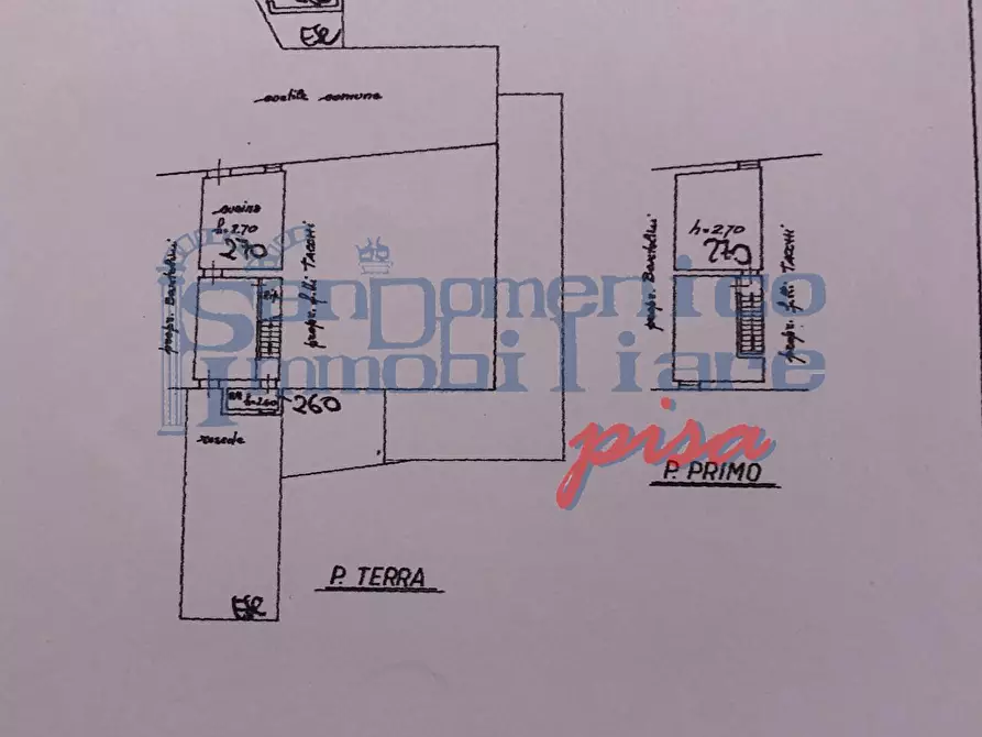Immagine 5 di Terratetto in vendita  a San Giuliano Terme