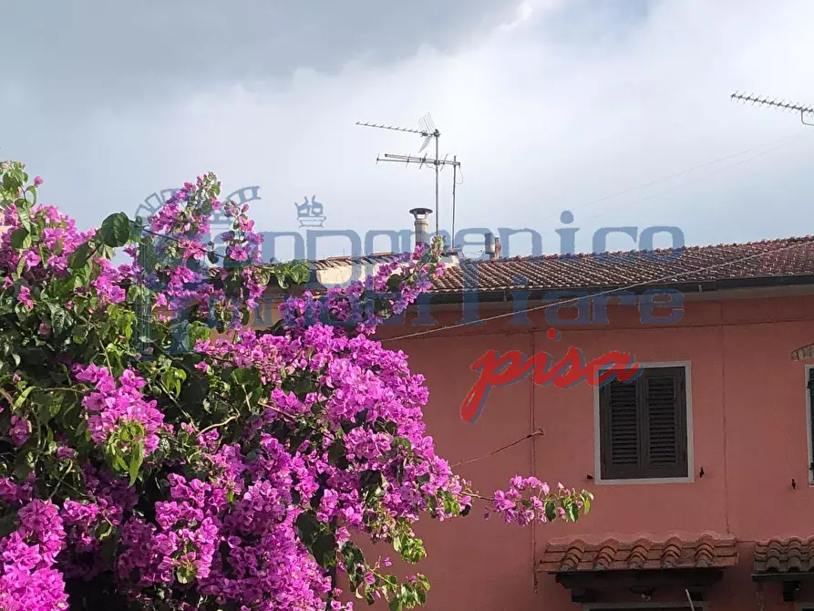 Immagine 1 di Terratetto in vendita  a San Giuliano Terme