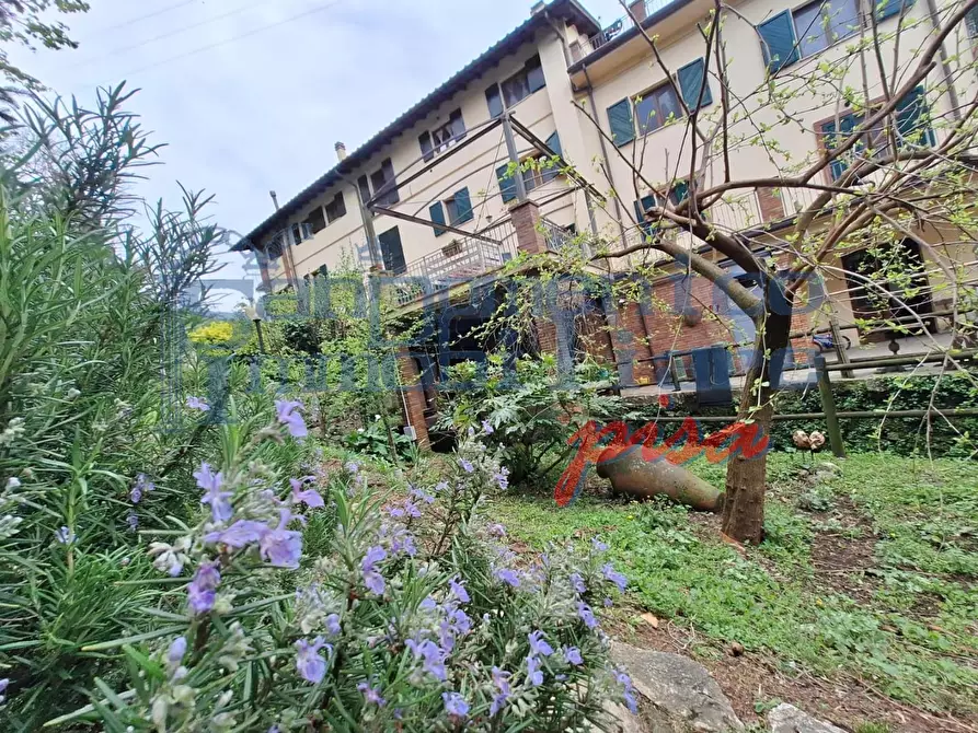 Immagine 1 di Casa colonica in vendita  a San Giuliano Terme