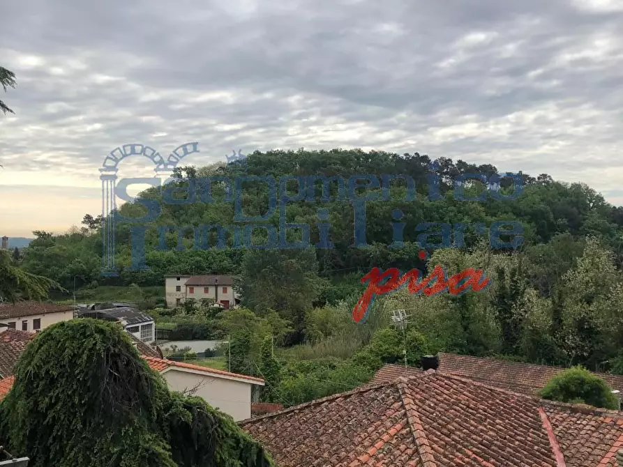 Immagine 4 di Casa bifamiliare in vendita  a Vicopisano