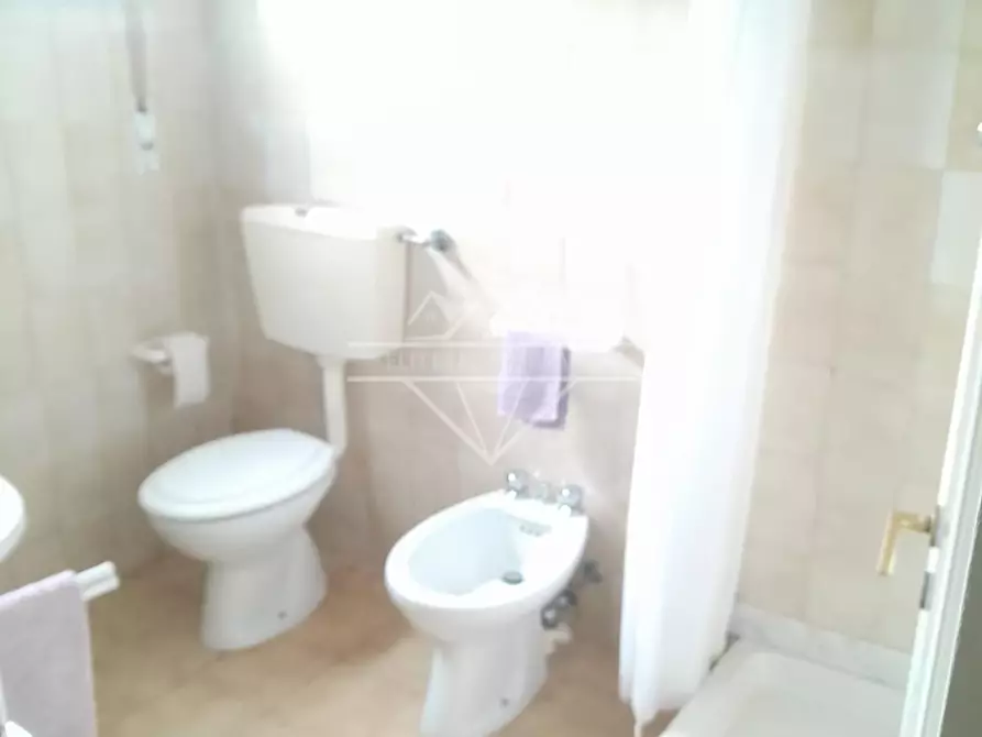 Immagine 15 di Appartamento in affitto  a Carrara