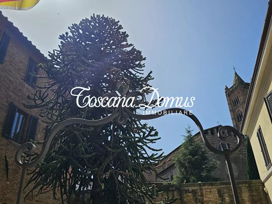 Immagine 35 di Appartamento in vendita  a Siena