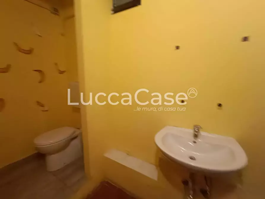 Immagine 15 di Locale commerciale in vendita  a Pisa