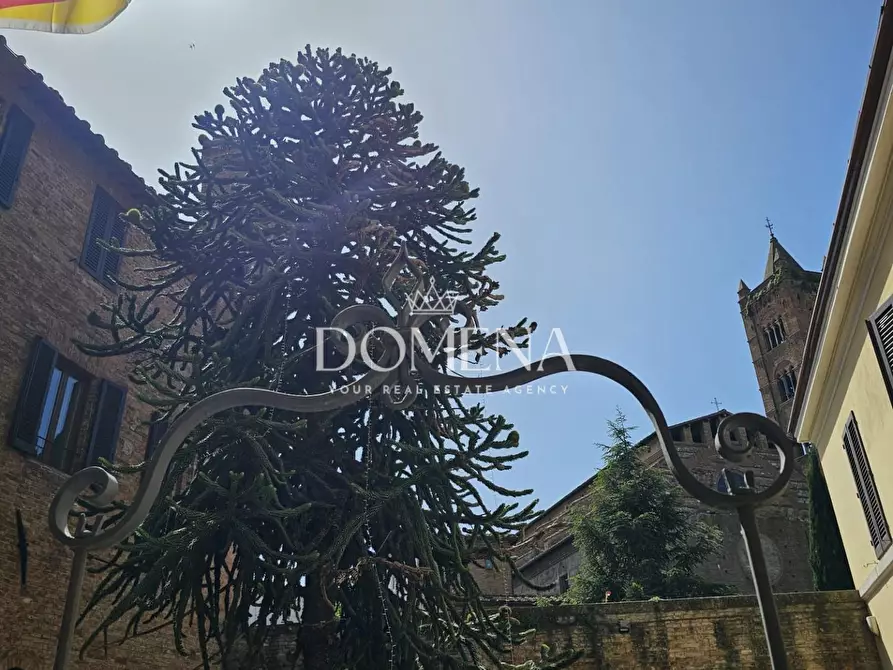 Immagine 35 di Appartamento in vendita  a Siena