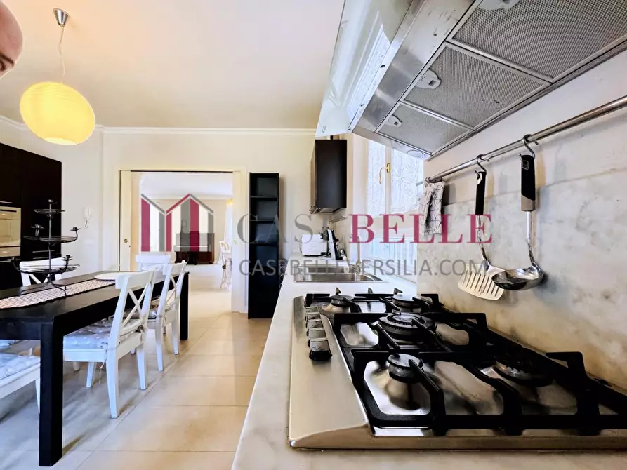 Immagine 13 di Villa in affitto  a Pietrasanta