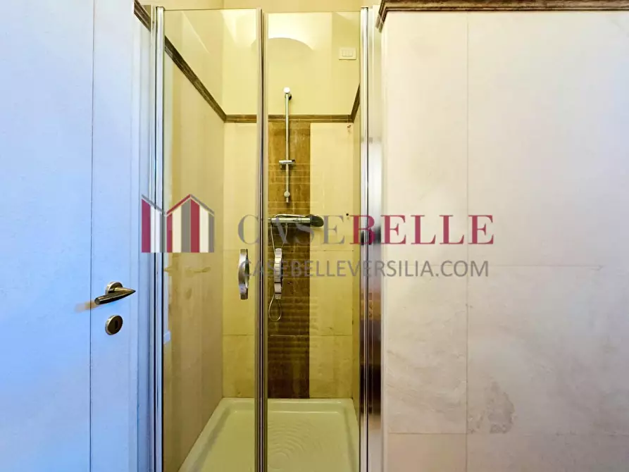 Immagine 44 di Villa in affitto  a Pietrasanta