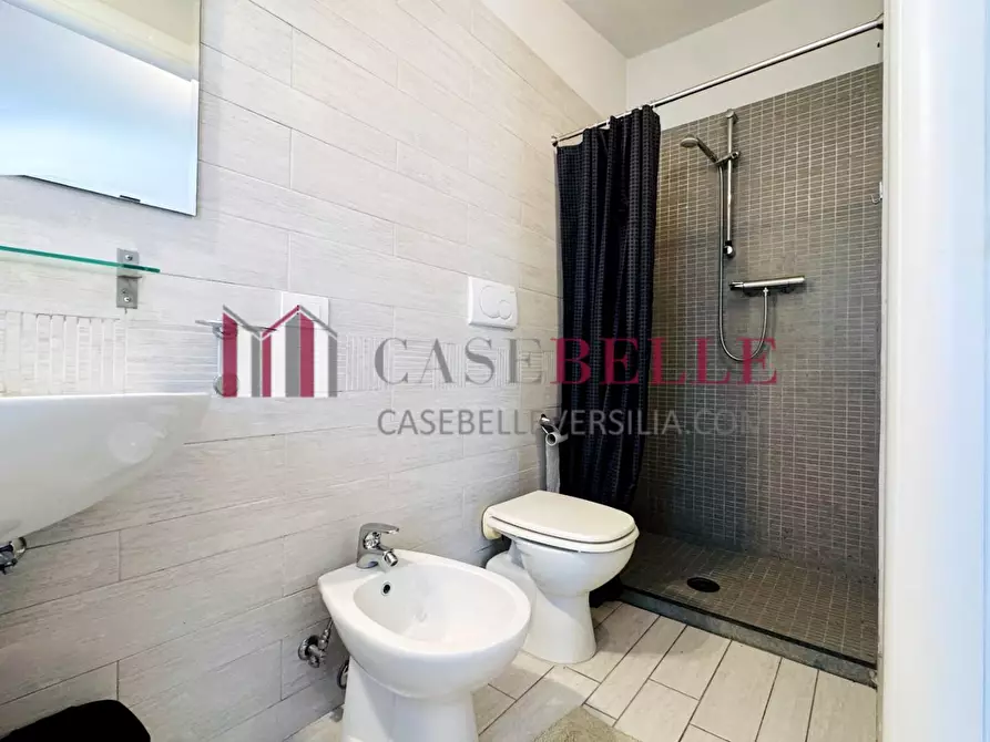 Immagine 55 di Villa in affitto  a Pietrasanta