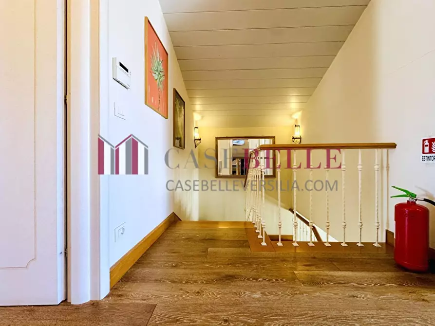 Immagine 52 di Villa in affitto  a Pietrasanta